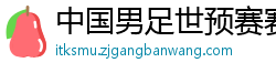 中国男足世预赛赛程